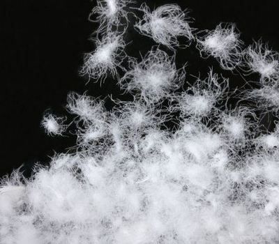 專家教你如何辨別羽絨和羽絨棉