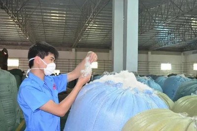 吳川市精準服務上市后備的羽絨企業