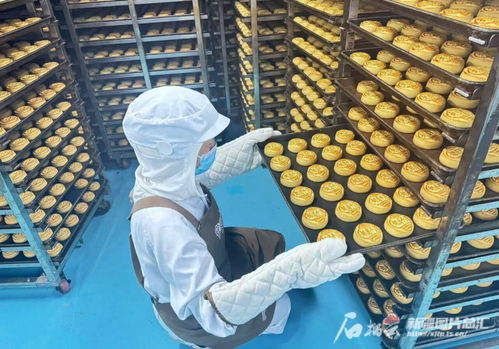 中秋佳節將至，烏魯木齊食品與羽絨制品企業雙線并進迎忙季